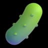 Green Beans